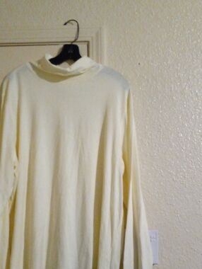 Womens           Cream Turtleneck        - size 2X